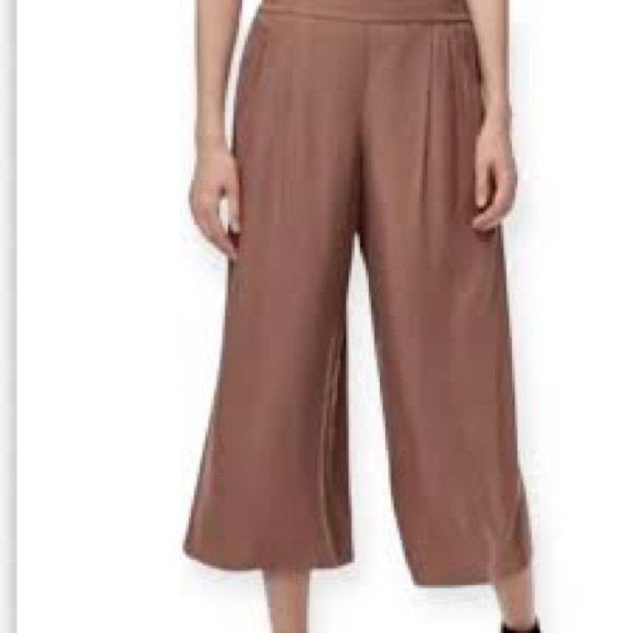 Aritzia Azure Skies Los Feliz Wide Leg Culotte Pants Joggers Clay XS - Picture 2 of 11